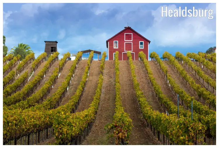 Neat rows of plants in a farm with a view of a red farmhouse up the hill in Healdsburg, California Neat rows of plants in a farm with a view of a red farmhouse up the hill in Healdsburg, California