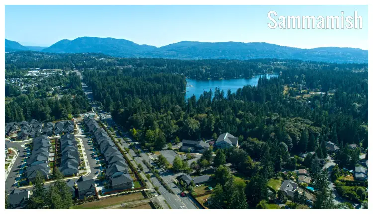Dense pine tree cover and houses in the town of Sammamish, Washington, in the Pine Lake area