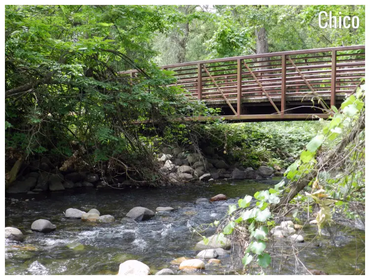 Dense forest and a bridge crossing over the famed Big Chico Creek located in the Bidwell Park in Chico, California