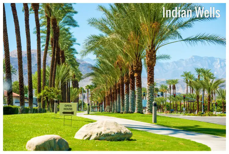 Rows of palm trees along a street in Indian Wells, California Rows of palm trees along a street in Indian Wells, California