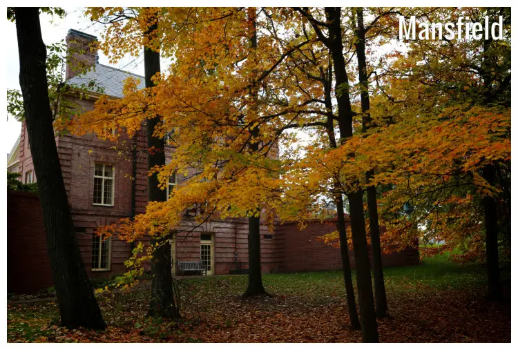 Trees full of the stunning fall foliage colors behind this big and historic mansion within the Kingswood environs in Mansfield, Ohio Trees full of the stunning fall foliage colors behind this big and historic mansion within the Kingswood environs in Mansfield, Ohio
