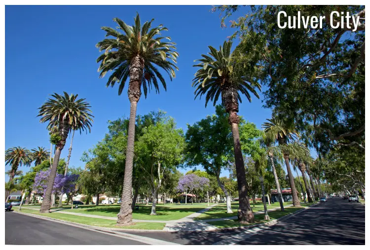 Palm trees in a colorful garden park with neat lawns of Carlson Park in Culver City, Los Angeles, California