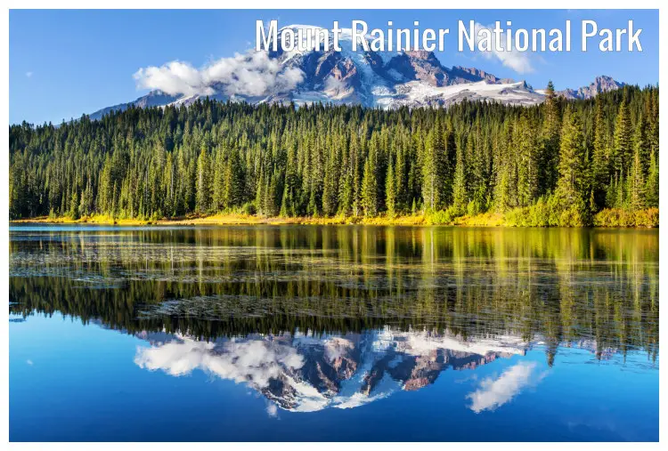 A beautiful reflection in the clear waterfront of the trees and snowy mountain in Mount Rainier National Park, Washington A beautiful reflection in the clear waterfront of the trees and snowy mountain in Mount Rainier National Park, Washington