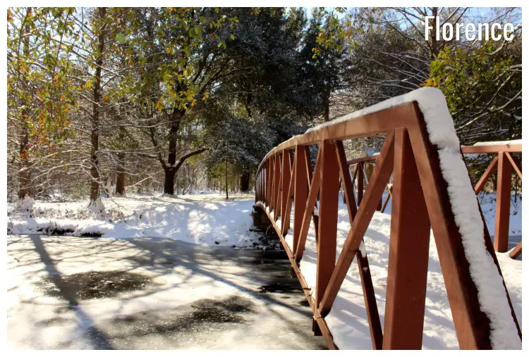 The red bridge in the Snow Winter Forest area, in Florence, South Carolina The red bridge in the Snow Winter Forest area, in Florence, South Carolina