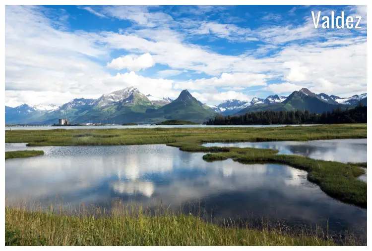 Lake water and grown-in surface vegetation in Valdez Province, Alaska Lake water and grown-in surface vegetation in Valdez Province, Alaska