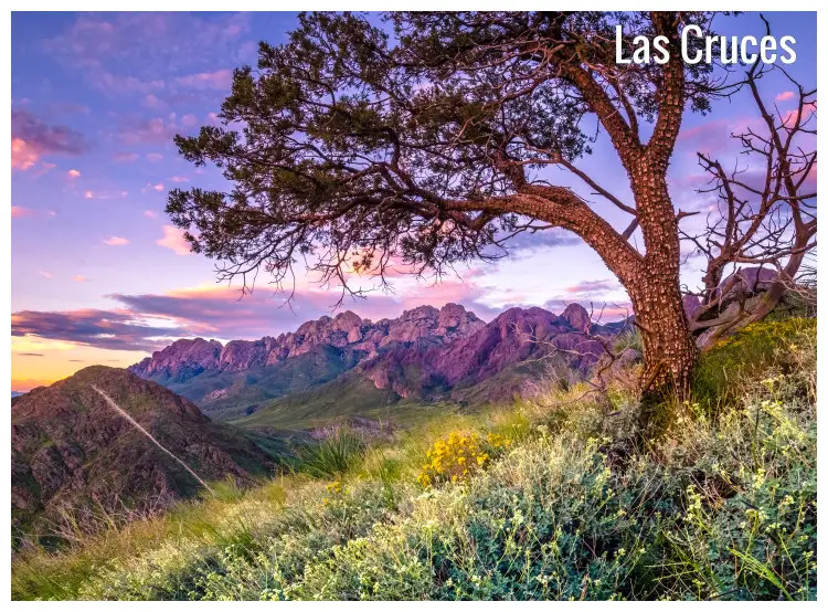 The lovely hilly countryside in Las Cruces, New Mexico