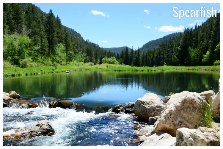 The peaceful and quiet area in the Trout Fishing Pond in the scenic Spearfish Canyon, South Dakota, in the Summer Sportsman Paradise