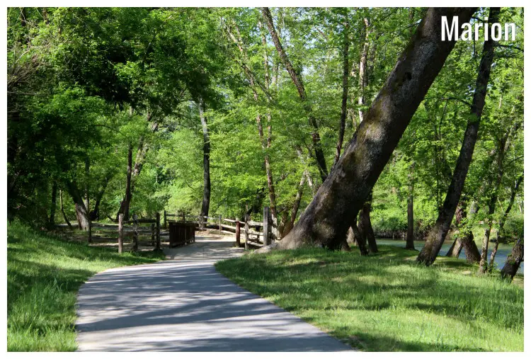 A walking path through the woods, scenic trees, and clean fields near the calm Catawba River in Marion City, North Carolina A walking path through the woods, scenic trees, and clean fields near the calm Catawba River in Marion City, North Carolina