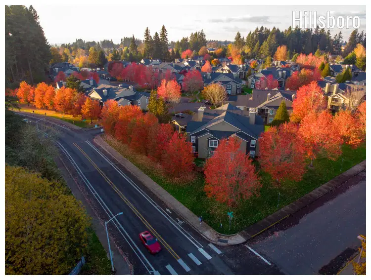 The red tree colors of the fall along a road and amid trees in this tranquil neighborhood in Hillsboro, Oregon