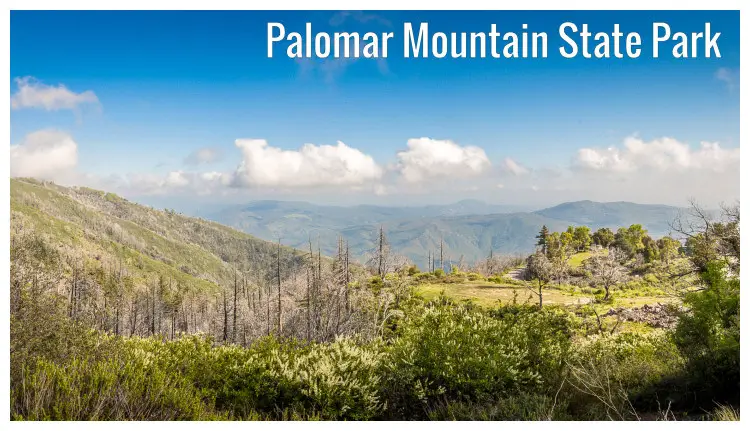 The forest and mountain meadows of the Palomar Mountain State Park in California