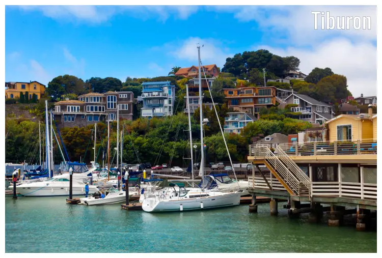The affluent hillside homes overlooking the yachts in the harbor, and the waterfront promenade in Tiburon, California