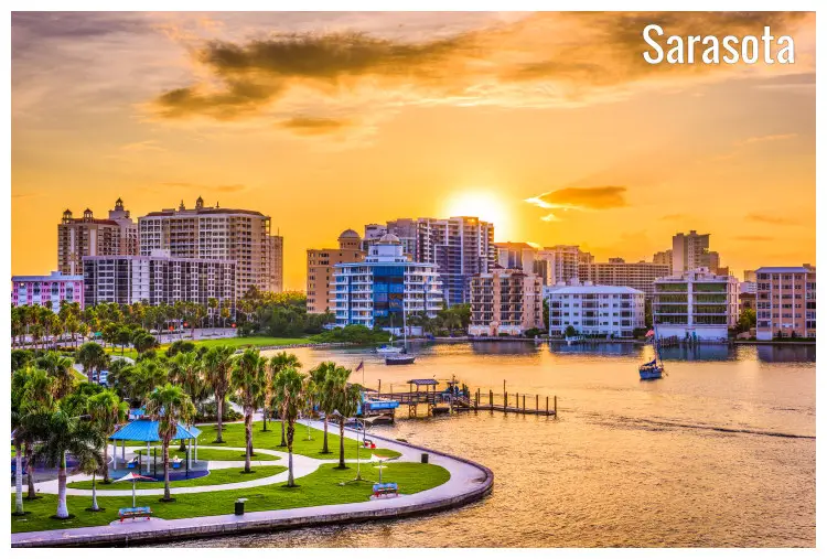 The palmy bay in Sarasota, Florida, USA, with tall buildings across the water The palmy bay in Sarasota, Florida, USA, with tall buildings across the water