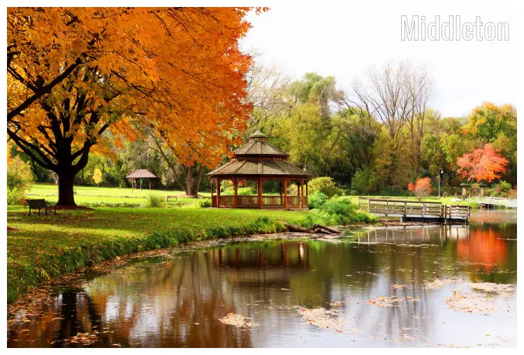 Colorful trees in the fall with leaves in the pond, in a stunning nature park in Middletown, Wisconsin Colorful trees in the fall with leaves in the pond, in a stunning nature park in Middletown, Wisconsin