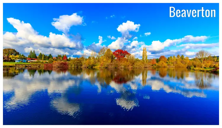 Colored yellow, brown and golden tree colors under a perfect blue, cloudy sky in the fall, mirrored in the calm lake water in Beaverton, Oregon