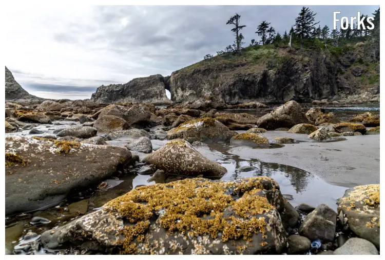 Large rocks near a tall cliff in the section of the iconic Second Beach in Forks, Washington Large rocks near a tall cliff in the section of the iconic Second Beach in Forks, Washington