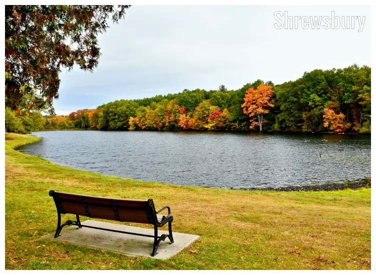 A bench in the neat lawns of Pean Park in Shrewsbury, Massachusetts, near the calm lake water surrounded by golden and brown trees 