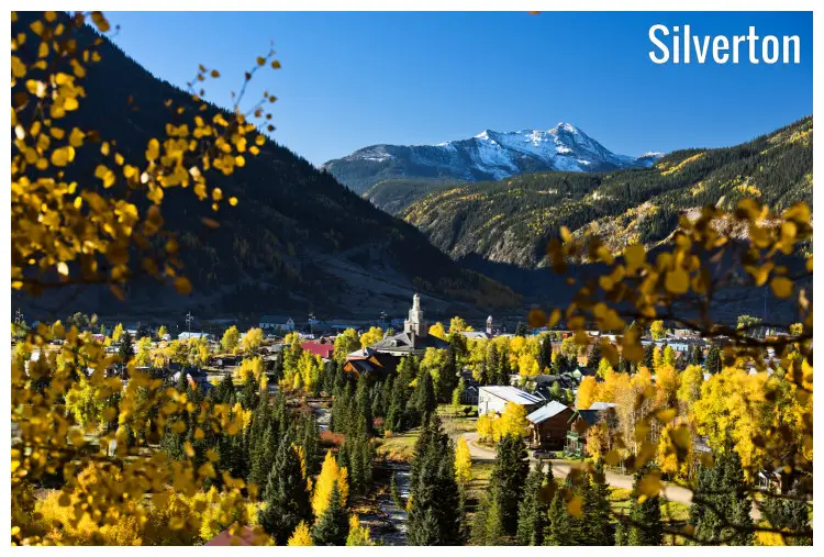 The view of Silverton, Colorado, via the beauty of the brown and yellow trees in the fall The view of Silverton, Colorado, via the beauty of the brown and yellow trees in the fall