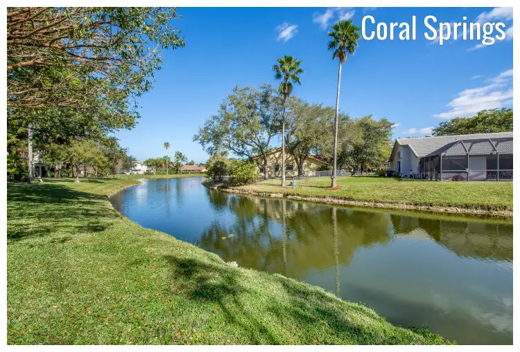Trees and houses on the shores of a small lake in a scenic setting in Coral Springs, Florida Trees and houses on the shores of a small lake in a scenic setting in Coral Springs, Florida