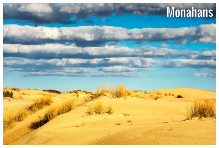 The scenic dry setting up the hills in the Sandhill State Park of Monahan