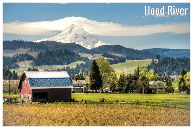 A red barn house in a farm field among scenic trees at the foot of a mountain with snowy peaks in Hood River, Oregon