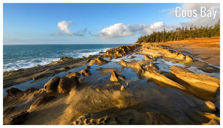 A unique sandy and rocky shore near a forest of pine trees in the Shore Acres State Park in Coos Bay, Oregon