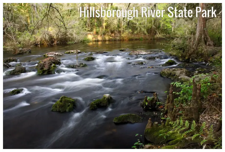 A beautiful shot of the scenic Hillsborough River State Park in Florida A beautiful shot of the scenic Hillsborough River State Park in Florida