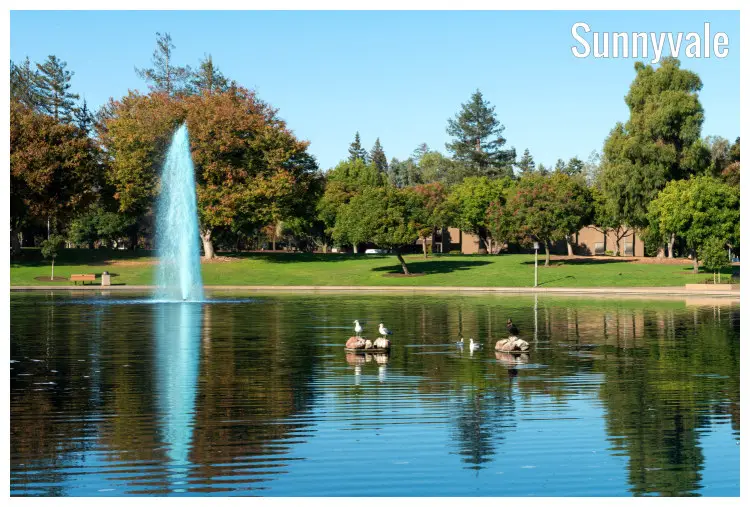 The perfect blue sky, trees, buildings, and cute water fountain all reflected in the calm pool of water with birds in Sunnyvale, California