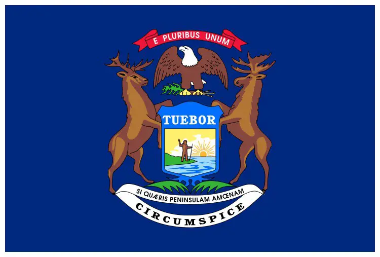Flag of Michigan, USA